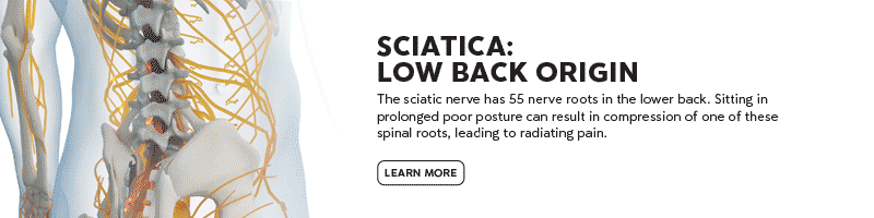 Sciatica: Lower Back Origin - Learn More CTA