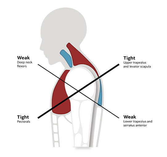 daily-position-adaption