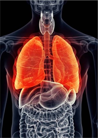 immune-system-impact