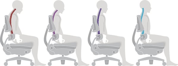 posture-function