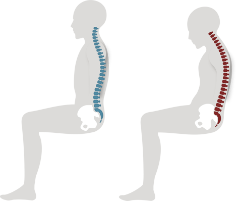 Anthros_S&C_Curves_Sitting